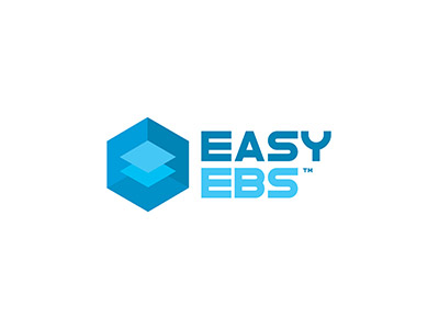 easy ebs logo design typo branding 