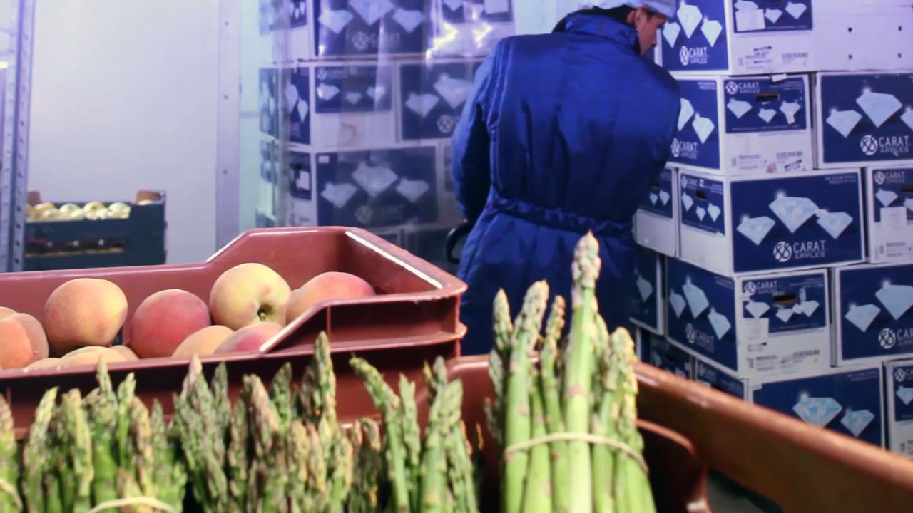 cooling fruits at El Nour fruit & vegetables supply station, camera & video effects by Dawayer studio creative design team 