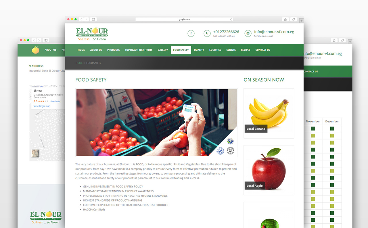 El Nour Website Design & Development