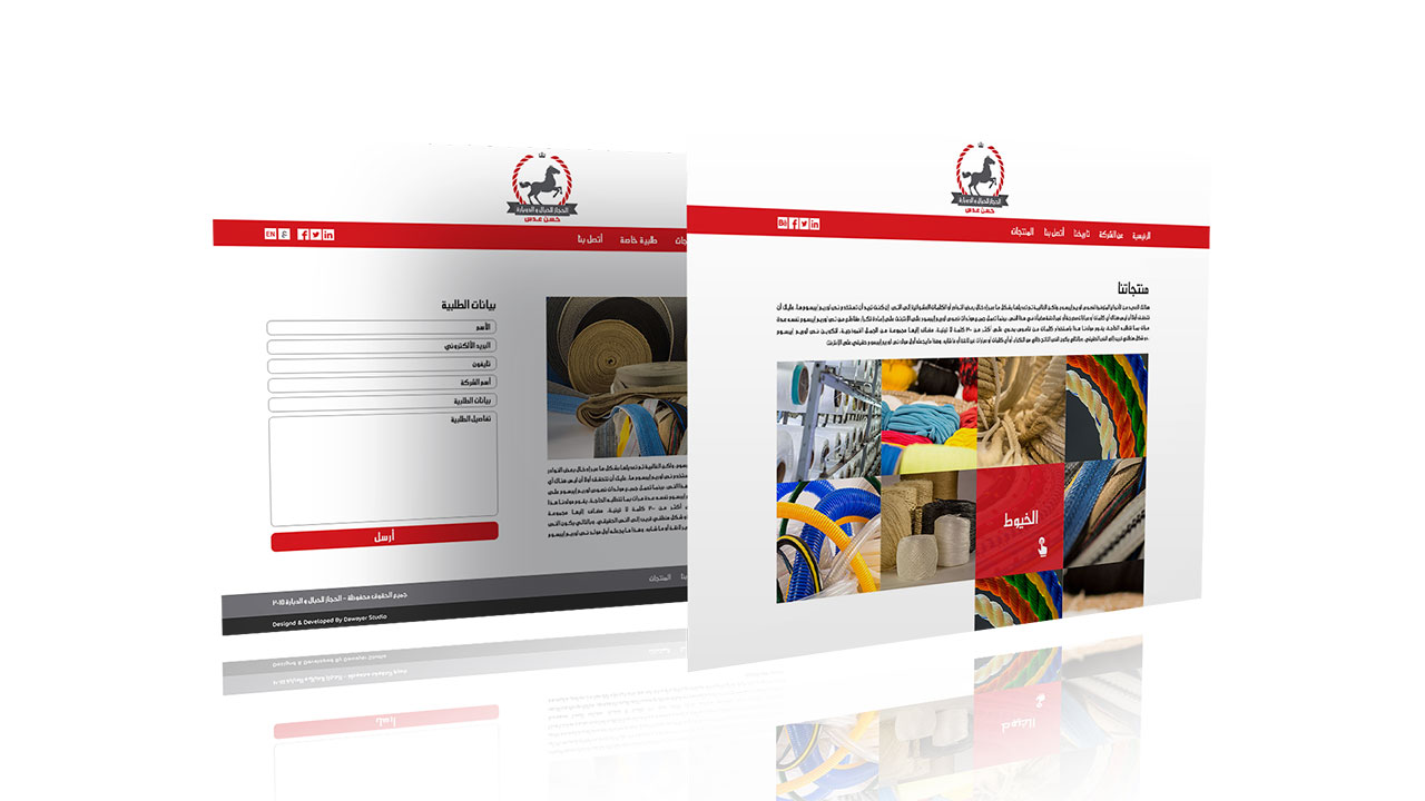 Al Hegaz Web Design & Development
