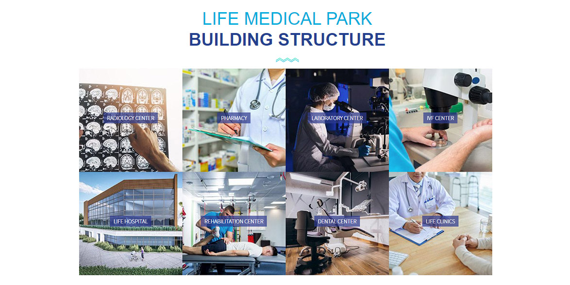 Life Medical Park UI & UX Development Web Design Website Home Page Building Structure