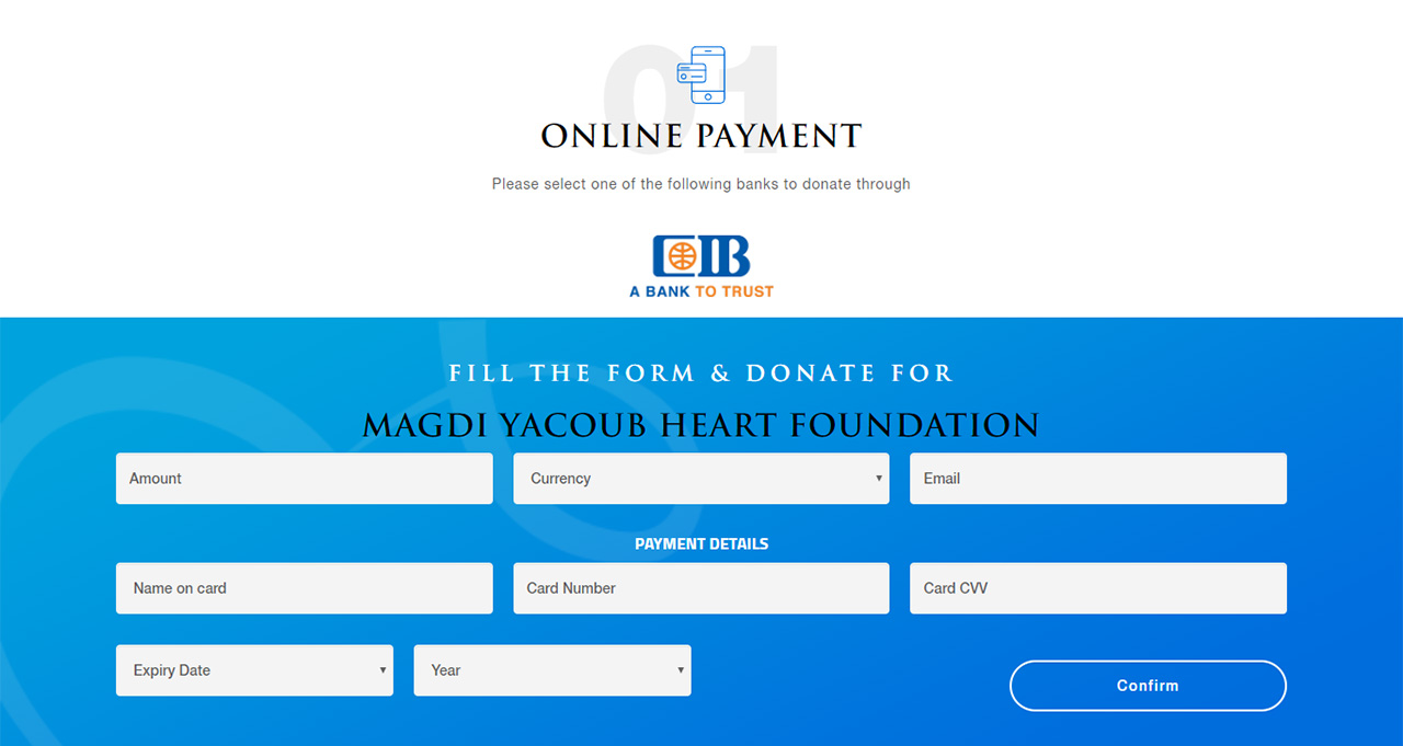 MAGDI YACOUB - Website Design & Development Payment Form UI & UX Development