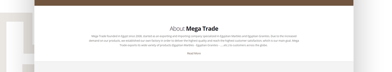 Mega Trade Website Design & Development
