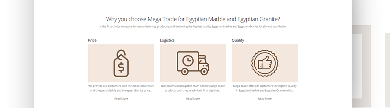 Mega Trade Website Design & Development