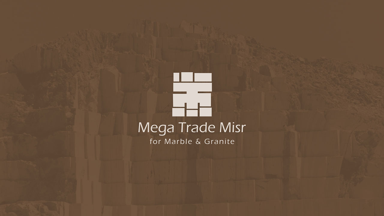 Mega Trade Branding & Logo Design Logo Icon Design
